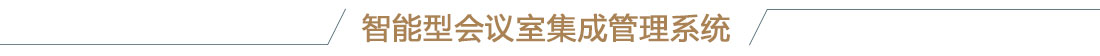 多媒体会议